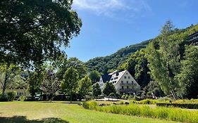Hotel Alte Mühle